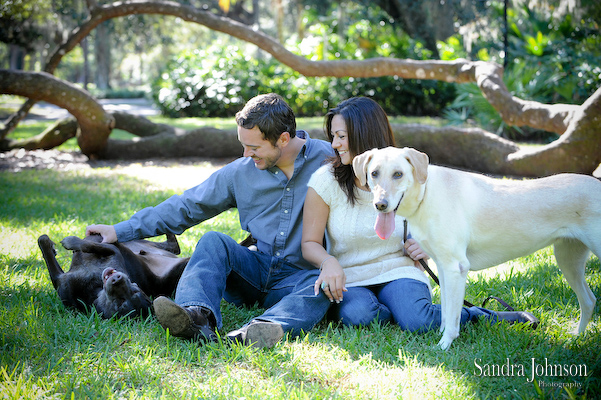 Best Orlando Pet Photographer - Sandra Johnson (SJFoto.com)